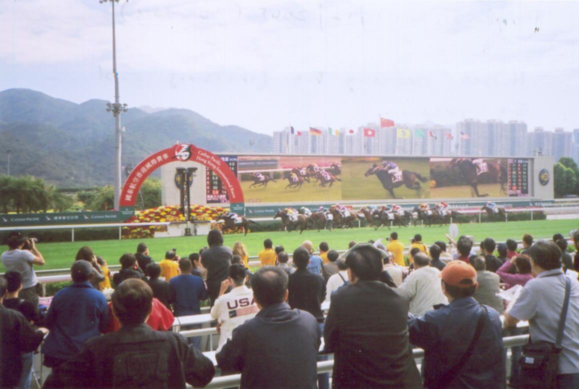 Winning Post at Sha tin with the Worlds largest telivision screen