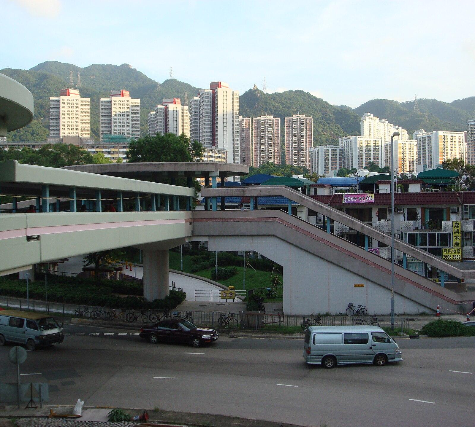 Sha Tin Launches Smart Silver Portal to Teach Elderly Digital Skills