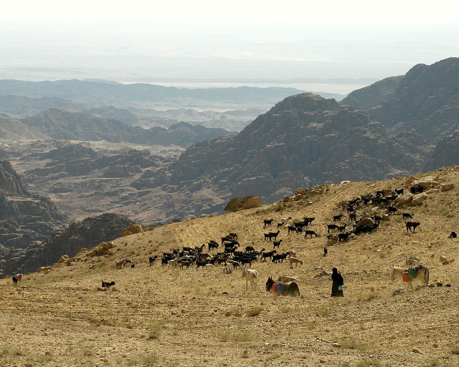 Wadi Musa, Jordan, Mountain valley, View to Wadi Arabah