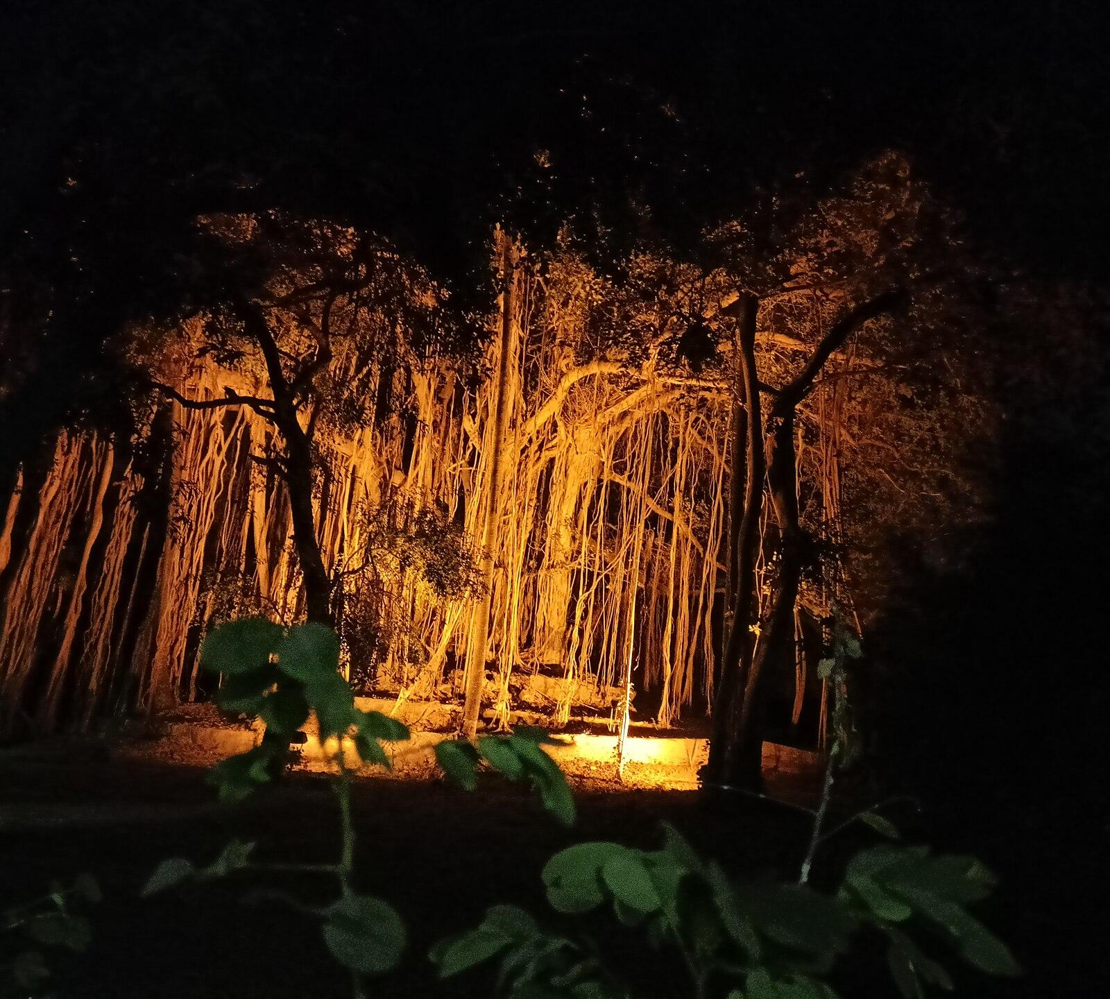 Tin pahar , A banyan tree ,, at world heritage site visva bharati santiniketan